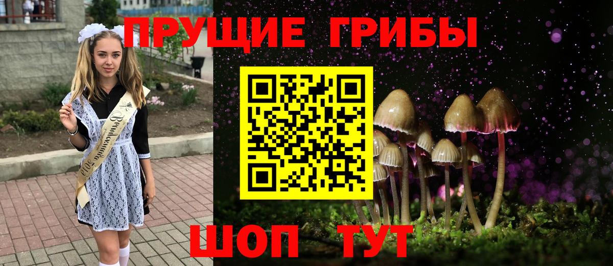 купить наркотики цена  Псилоцибиновые грибы MAGIC MUSHROOMS  Вход с VPN  Новый Уренгой 